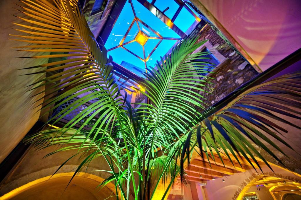 חאניה Elia Fatma Boutique Hotel (Adults Only) מראה חיצוני תמונה